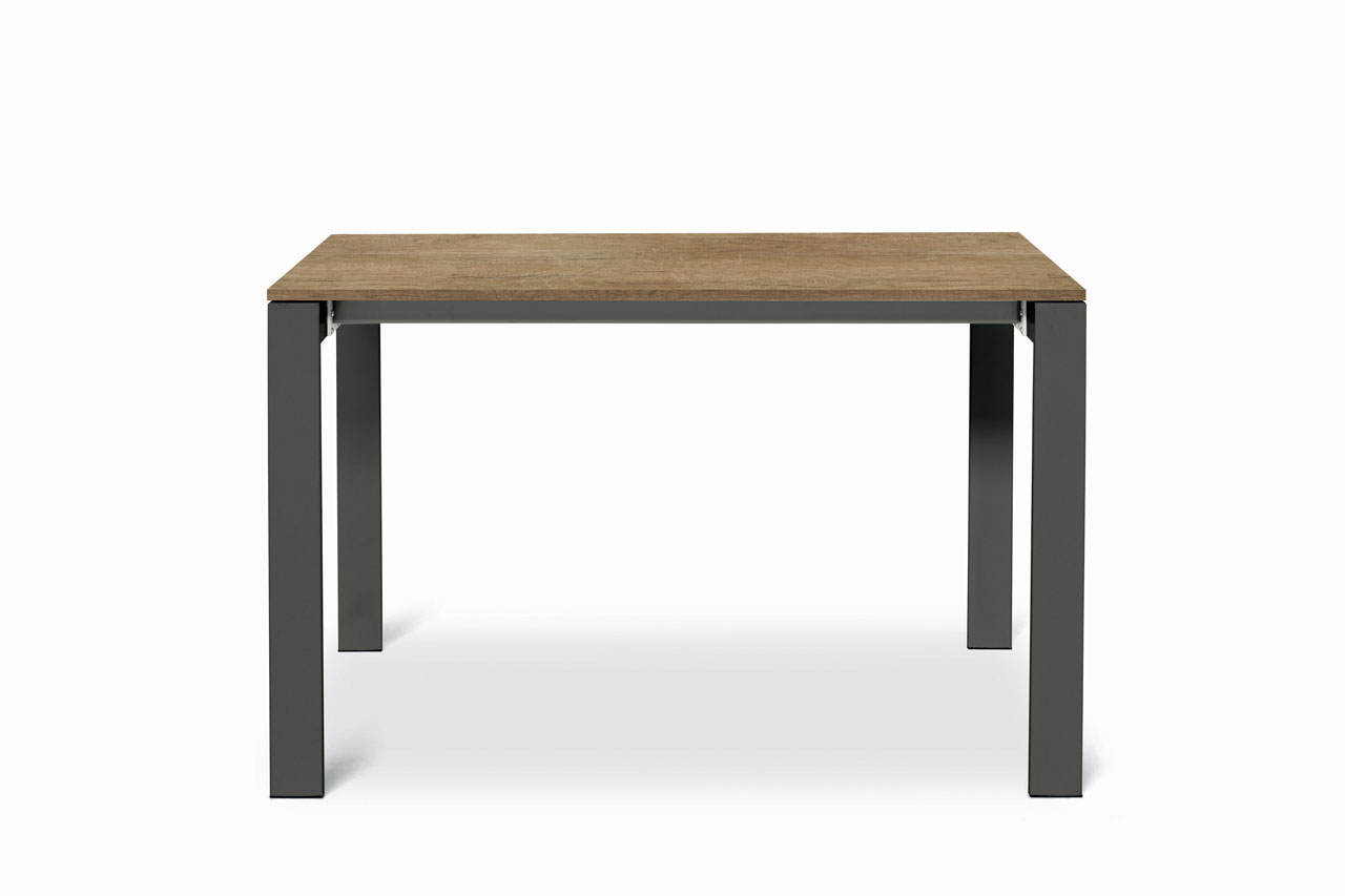 Table EVOLUTION